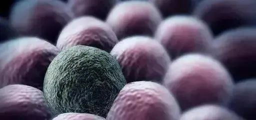 神奇干细胞守护健康，对抗衰老、免疫力，拯救疾病